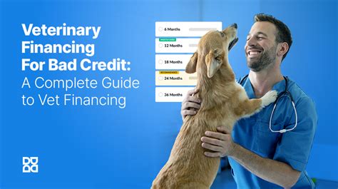 veterinary financing no credit check